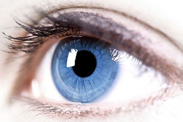 sam patient services | eye health and diseases